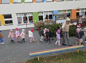 Grupa Misie. Matematyczne podchody w ogrodzie przedszkolnym.