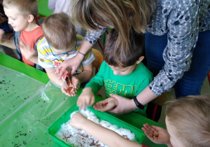 Dzieci oglądają maleńkie ziarenka rzeżuchy