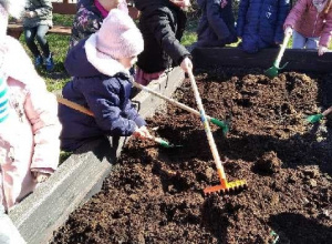 Biedronki szykują gazony na sadzenie i siane nowych roślin