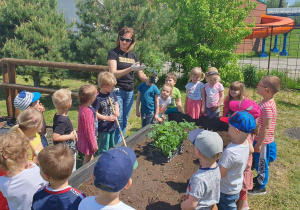 Dzieci stoją wokół gazonu, nauczycielka prezentuje dzieciom sadzonkę pomidora