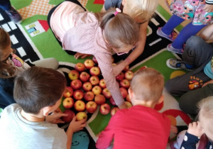 Dzieci przeliczają jabłka na dywanie
