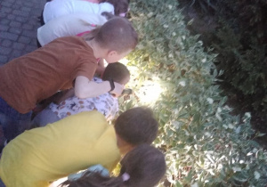 Dzieci szukają z latarkami skarbu ukrytego w ogrodzie przedszkolnym