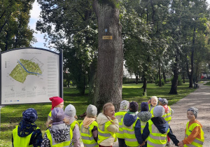 dzieci oglądają pomnik przyrody w parku miejskim