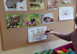 Nauczycielka opowiada o kocich zwyczajach i potrzebach kotów. Pokazuje także w jaki sposób wykonać pracę plastyczną