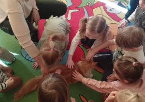 Dzieci w obecności pracownika Stowarzyszenia niKOTyna głaszczą kota "Elmo"