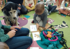 Dzieci poznają różne przedmioty do pielęgnacji, żywienia i spacerów dla psów