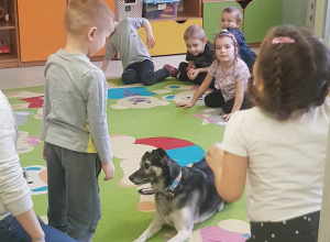 Dogoterapia w grupie Jagódek