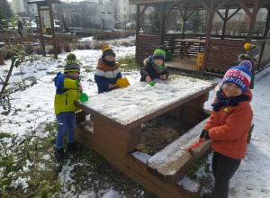 Sówki bawią się na śniegu