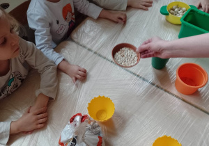 Dzieci rozpoznają nasiona fasoli