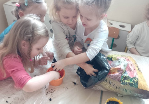 Dziewczynki sypią ziemię do pojemnika, w którym sadzona będzie fasola