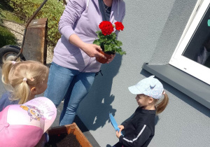 Nauczycielka omawia budowę kwiatów i sposoby ich pielęgnacji