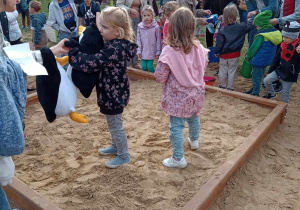 Dzieci biorą udział w konkurencji "wykopki" szukając zakopanych ziemniaków w piaskownicy