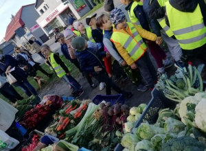 Stokrotki odwiedzają stragan warzywny