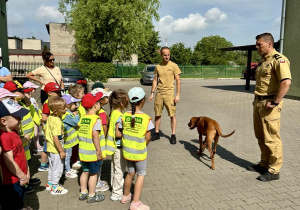 Jagódki poznają psa panów strażaków