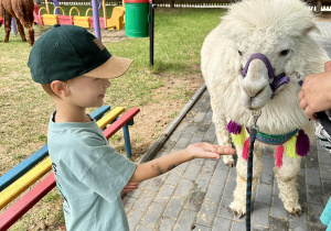 Jagódki i alpaki w przedszkolu