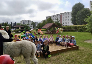 Biedronki pozują do zdjęć z alpakami