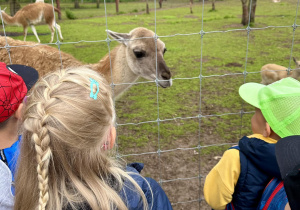 Dzieci zwiedzają ZOO