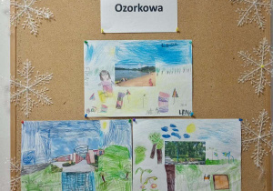 Pszczółki tworzą pocztówki z Ozorkowa