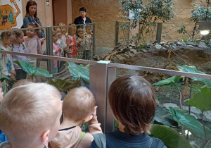 Dzieci wraz z wychowawczyniami słuchają ciekawostek na temat żółwi